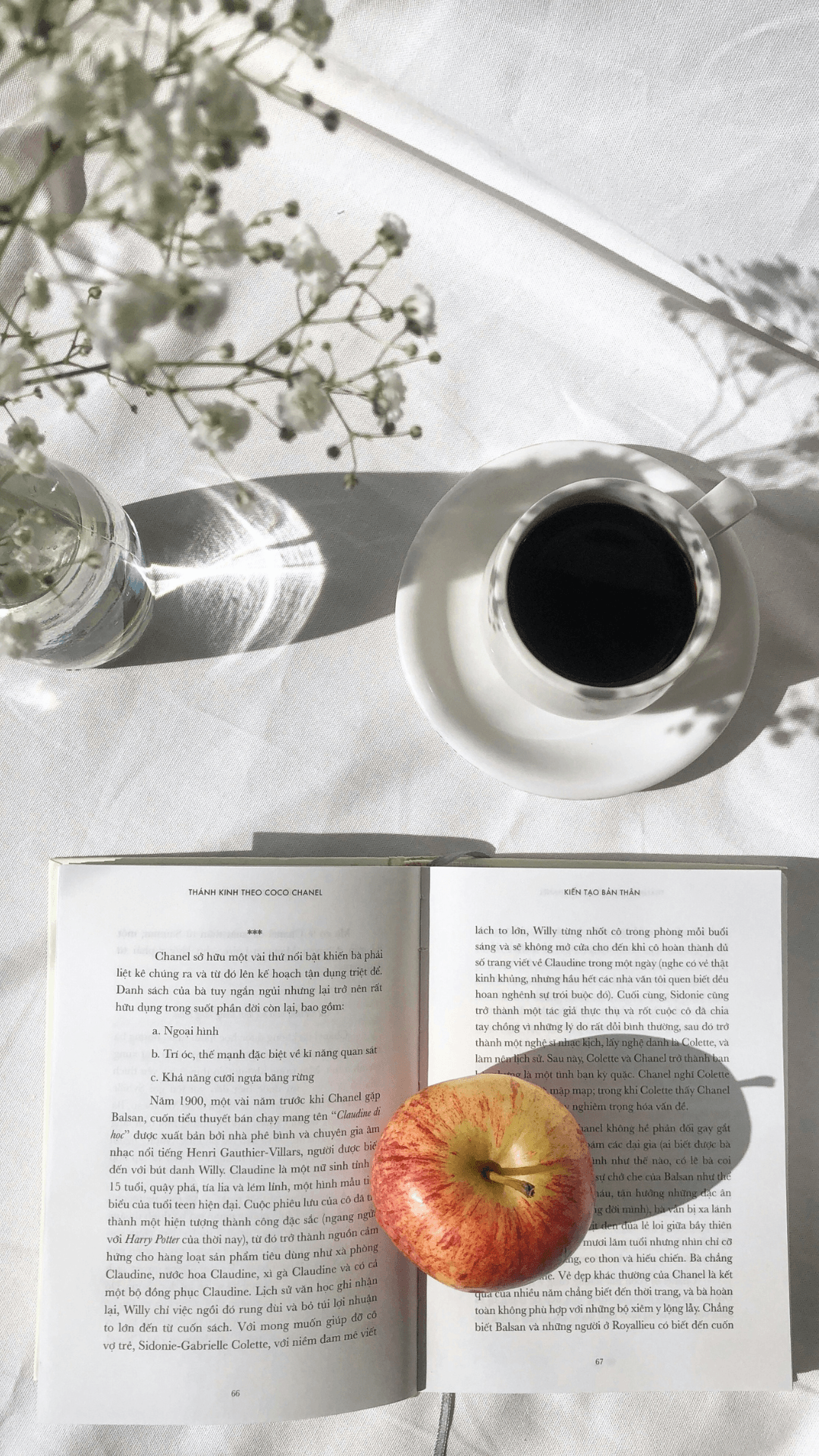 HIMMENSE Book Recommendations