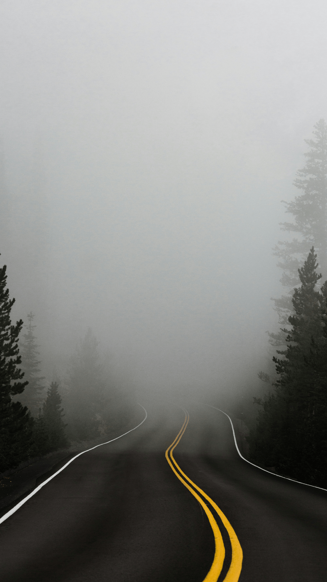 Brain fog causes and solutions for improved mental clarity and focus