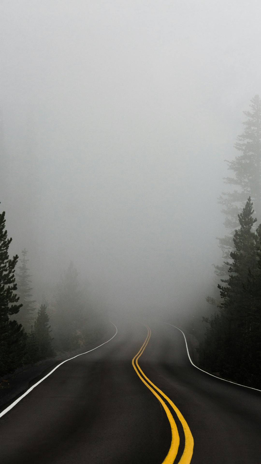 Brain fog causes and solutions for improved mental clarity and focus